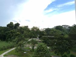 Blk 118 Clementi Street 13 (Clementi), HDB 4 Rooms #121614282